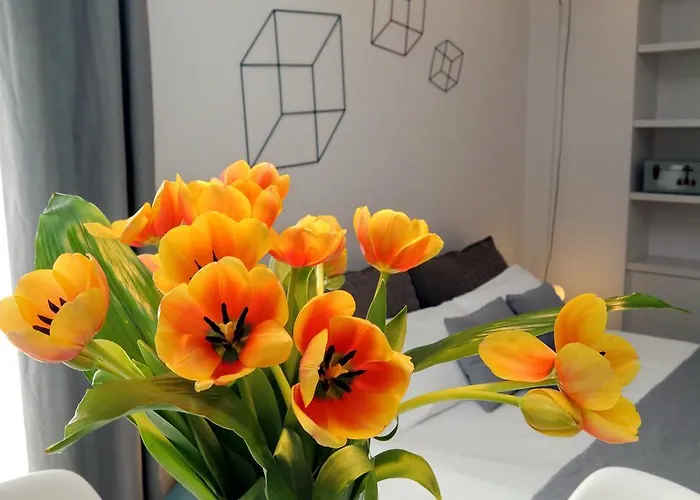 アパート プロパガンダ スイーツ *