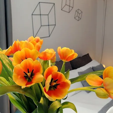 아파트 프로파간다 스위트 *