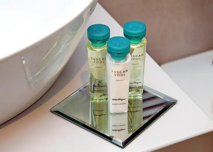 宣传套房公寓 公寓 *